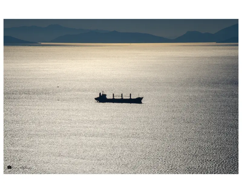 Alone at Sea.jpg